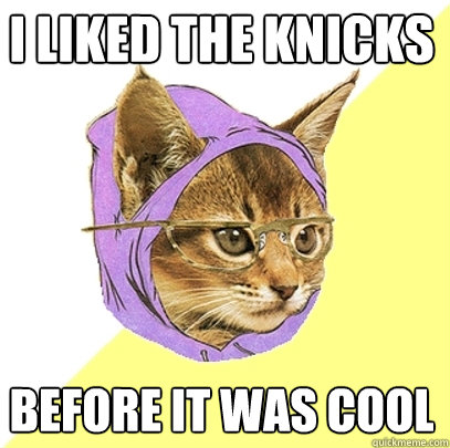 I liked the Knicks before it was cool  Hipster Kitty