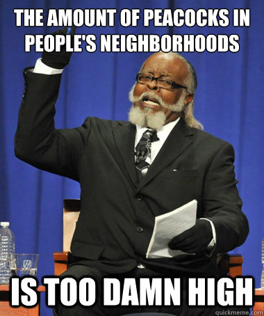 the amount of peacocks in people's neighborhoods is too damn high  The Rent Is Too Damn High