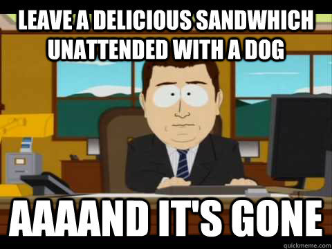 Leave a delicious sandwhich unattended with a dog Aaaand it's gone - Leave a delicious sandwhich unattended with a dog Aaaand it's gone  Misc