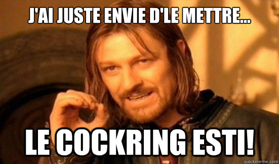 J'ai juste envie d'le mettre... LE COCKRING ESTI!  Boromir