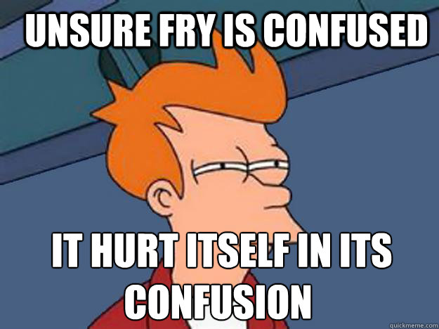   unsure fry is confused  it hurt itself in its confusion  Unsure Fry