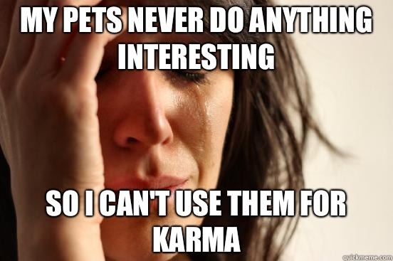My pets never do anything interesting So I can't use them for karma  First World Problems