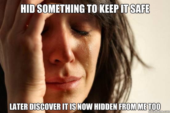 hid something to keep it safe Later discover it is now hidden from me too  First World Problems