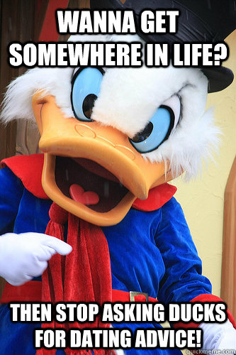 Wanna get somewhere in life?                                                              Then stop asking ducks for dating advice! - Wanna get somewhere in life?                                                              Then stop asking ducks for dating advice!  Actual Advice Scrooge McDuck