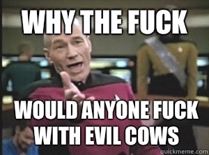 WHY THE FUCK Would anyone fuck with evil cows  Annoyed Picard