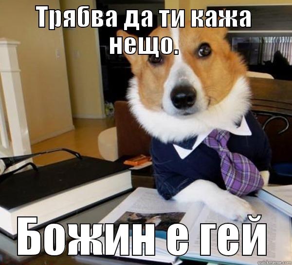 ТРЯБВА ДА ТИ КАЖА НЕЩО. БОЖИН Е ГЕЙ Lawyer Dog
