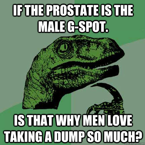 If the prostate is the male G-spot. Is that why men love taking a dump so much? - If the prostate is the male G-spot. Is that why men love taking a dump so much?  Philosoraptor