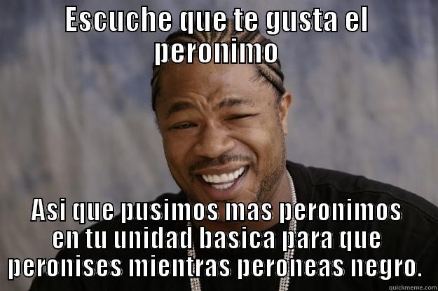 ESCUCHE QUE TE GUSTA EL PERONIMO ASI QUE PUSIMOS MAS PERONIMOS EN TU UNIDAD BASICA PARA QUE PERONISES MIENTRAS PERONEAS NEGRO.  Xzibit meme