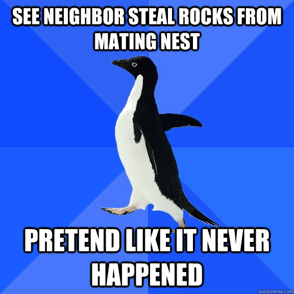 see neighbor steal rocks from mating nest pretend like it never happened  Socially Awkward Penguin