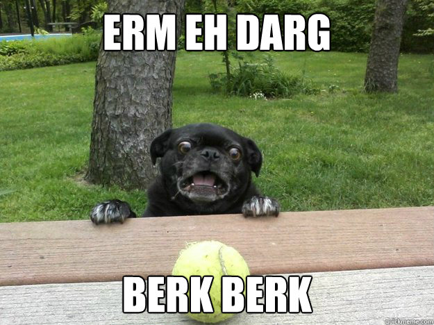 erm eh darg berk berk  - erm eh darg berk berk   Berks Dog