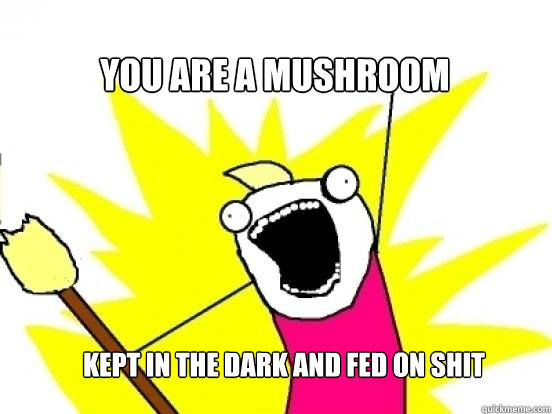 YOu are a mushroom kept in the dark and fed on shit  X All The Things