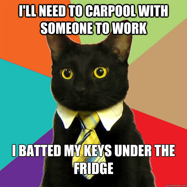 I'll need to carpool with someone to work I batted my keys under the fridge - I'll need to carpool with someone to work I batted my keys under the fridge  Business Cat