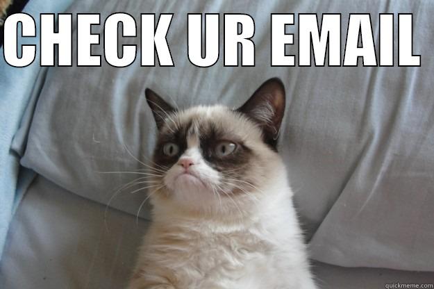 CHECK UR EMAIL   Grumpy Cat