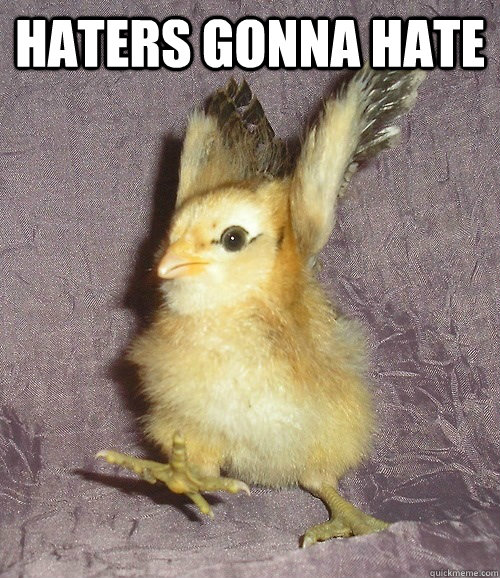 Haters gonna hate Chick haters quickmeme