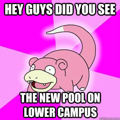 Hey guys did you see the new pool on lower campus  Slowpoke