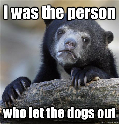 I was the person who let the dogs out - I was the person who let the dogs out  Confession Bear