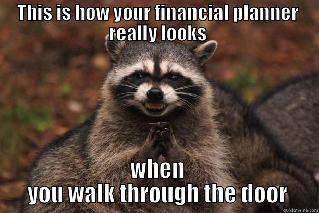 THIS IS HOW YOUR FINANCIAL PLANNER REALLY LOOKS WHEN YOU WALK THROUGH THE DOOR Evil Plotting Raccoon