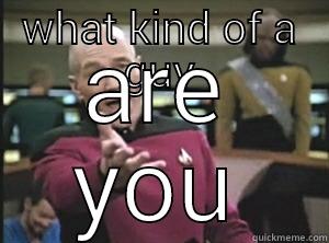 WHAT KIND OF A GUY ARE YOU Annoyed Picard