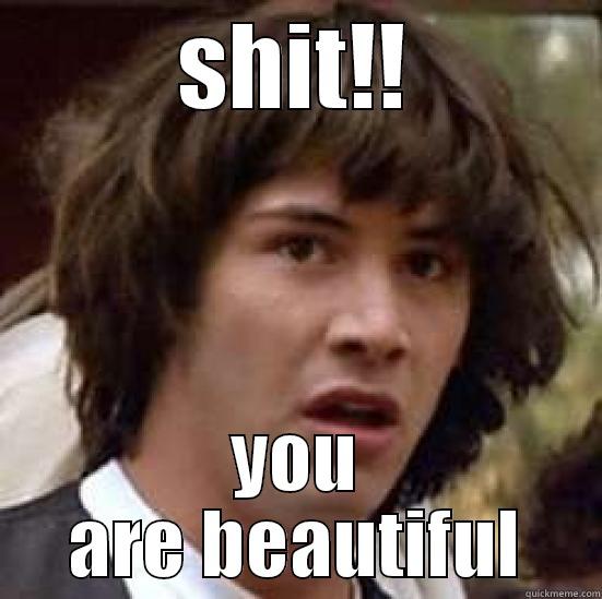 SHIT!! YOU ARE BEAUTIFUL conspiracy keanu