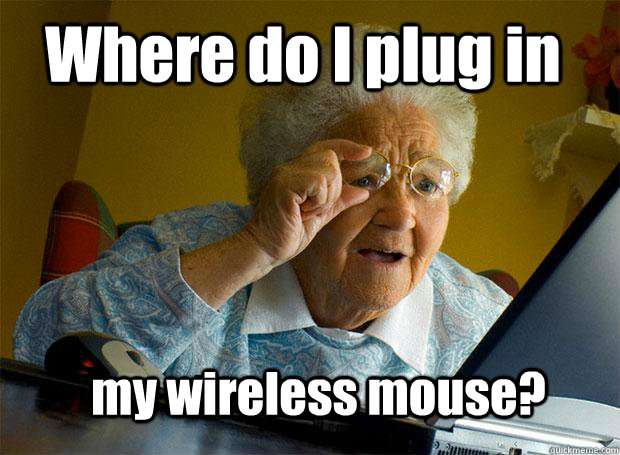 Where do I plug in my wireless mouse?  Grandma finds the Internet