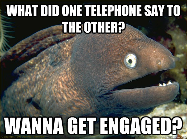 what did one telephone say to the other? Wanna get engaged? - what did one telephone say to the other? Wanna get engaged?  Bad Joke Eel