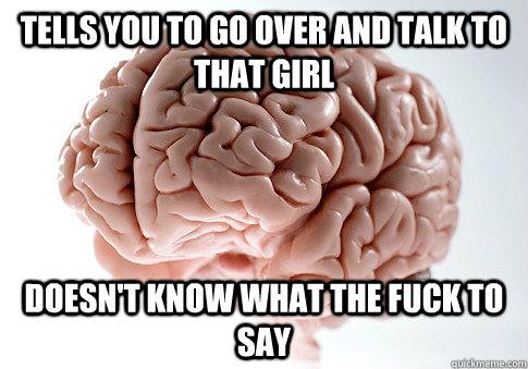 Tells you to go over and talk to that girl doesn't know what the fuck to say  Scumbag Brain