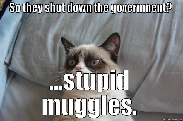 SO THEY SHUT DOWN THE GOVERNMENT? ...STUPID MUGGLES. Grumpy Cat