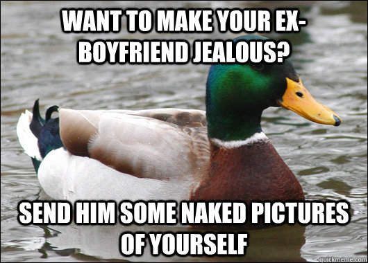 Want to make your ex-boyfriend jealous? Send him some naked pictures of yourself  BadBadMallard