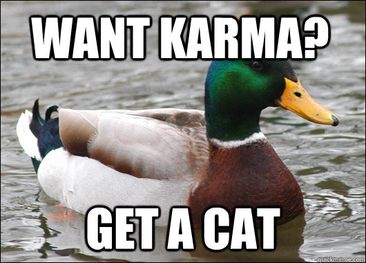 Want Karma? Get a cat  Actual Advice Mallard