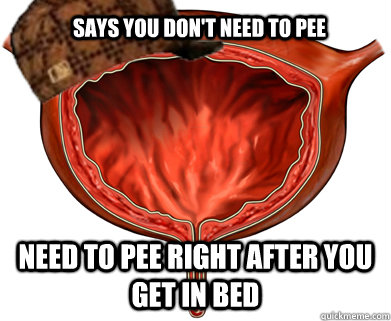 Says you don't need to pee Need to pee right after you get in bed - Says you don't need to pee Need to pee right after you get in bed  Scumbag Bladder