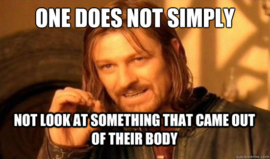 One Does Not Simply not look at something that came out of their body  Boromir