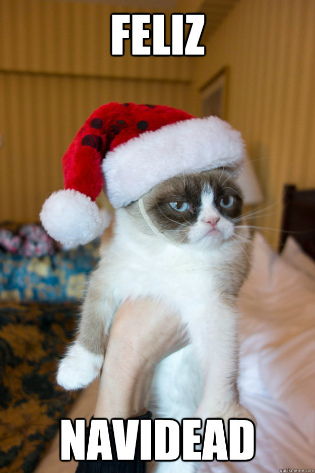 feliz navidead  Grumpy xmas