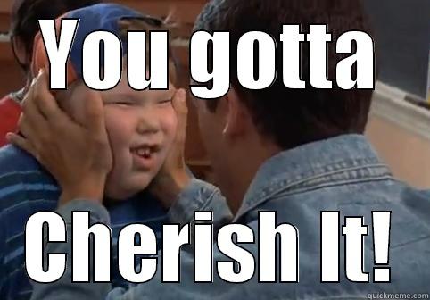 YOU GOTTA CHERISH IT! Misc