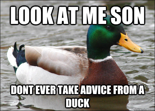 Look at me son dont ever take advice from a duck  Actual Advice Mallard