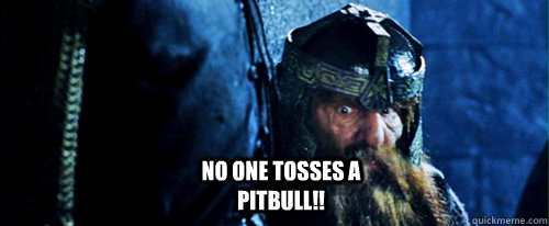 no one tosses a pitbull!!  Gimli