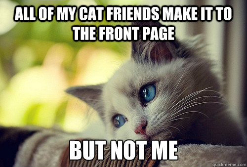 All of my cat friends make it to the front page But not me  First World Cat Problems