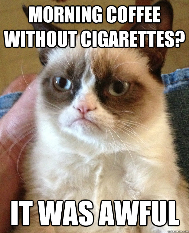morning coffee without cigarettes? it was awful - morning coffee without cigarettes? it was awful  Grumpy Cat