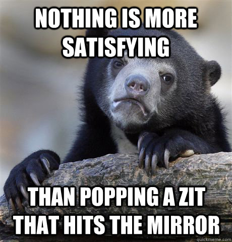 nothing is more satisfying than popping a zit that hits the mirror  Confession Bear