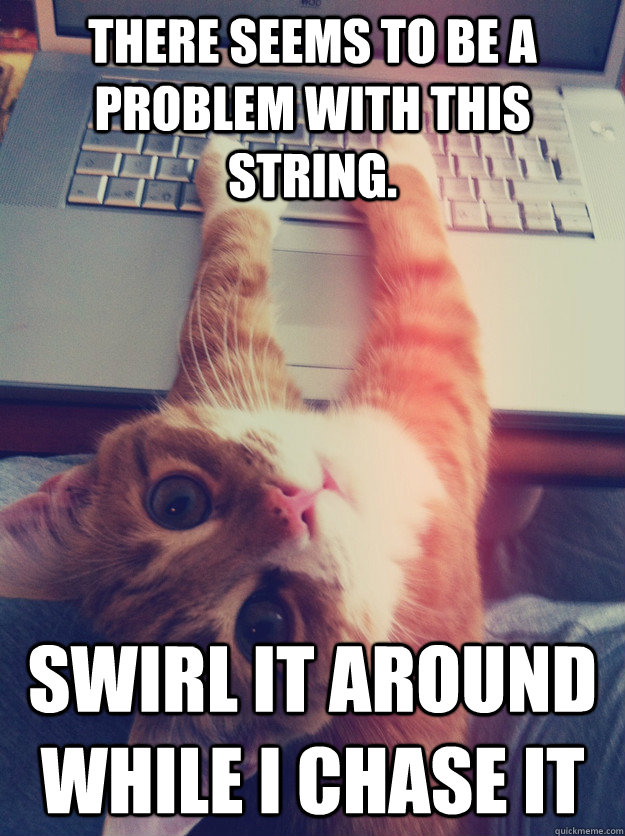 there seems to be a problem with this string. swirl it around while i chase it  Programmer Cat