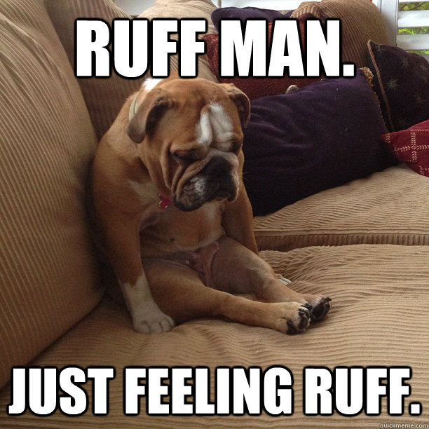 Ruff man. Just feeling ruff. - Ruff man. Just feeling ruff.  depressed dog