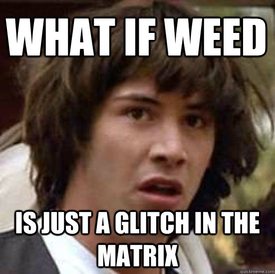 What if Weed   is just a glitch in the matrix - What if Weed   is just a glitch in the matrix  conspiracy keanu