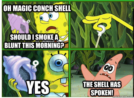 Oh Magic Conch shell YES The SHELL HAS SPOKEN! Should I smoke a blunt this morning?  Magic Conch Shell