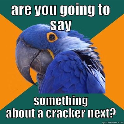 ARE YOU GOING TO SAY SOMETHING ABOUT A CRACKER NEXT? Paranoid Parrot