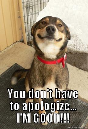  YOU DON'T HAVE TO APOLOGIZE... I'M GOOD!!! Good Dog Greg