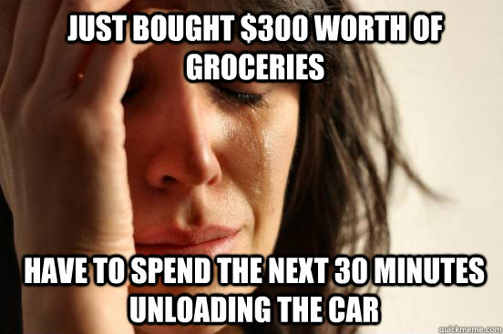 Just bought $300 worth of groceries Have to spend the next 30 minutes unloading the car  1st World Problems
