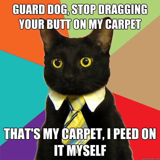 guard dog, stop dragging your butt on my carpet that's my carpet, i peed on it myself  Business Cat
