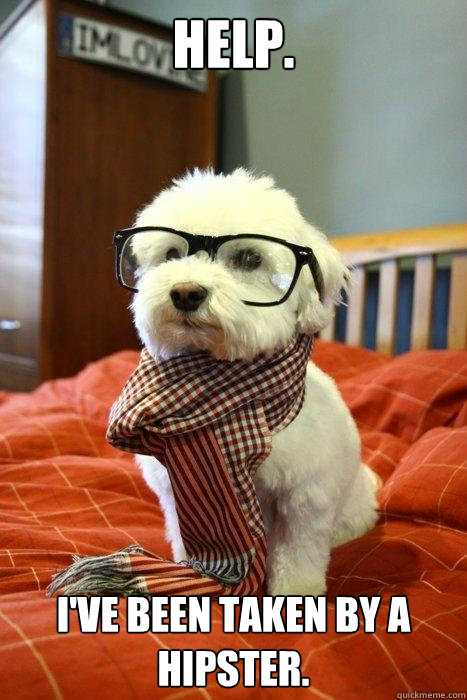 Help. I've been taken by a hipster. - Help. I've been taken by a hipster.  Hipster Dog