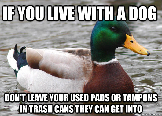 If you live with a dog Don't leave your used pads or tampons in trash cans they can get into  Actual Advice Mallard