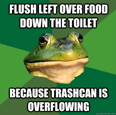 Flush left over food down the toilet  Because trashcan is overflowing  Foul Bachelor Frog