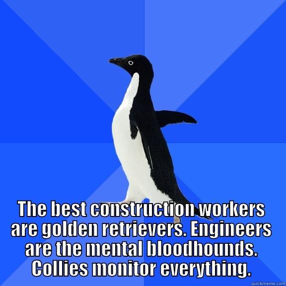  THE BEST CONSTRUCTION WORKERS ARE GOLDEN RETRIEVERS. ENGINEERS ARE THE MENTAL BLOODHOUNDS. COLLIES MONITOR EVERYTHING. Socially Awkward Penguin
